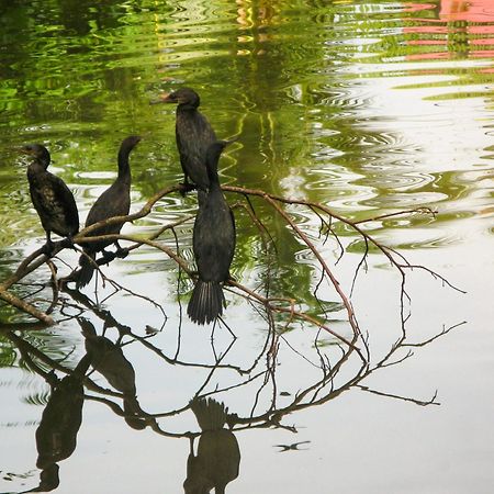 Flora And Fauna Mirissa Εξωτερικό φωτογραφία
