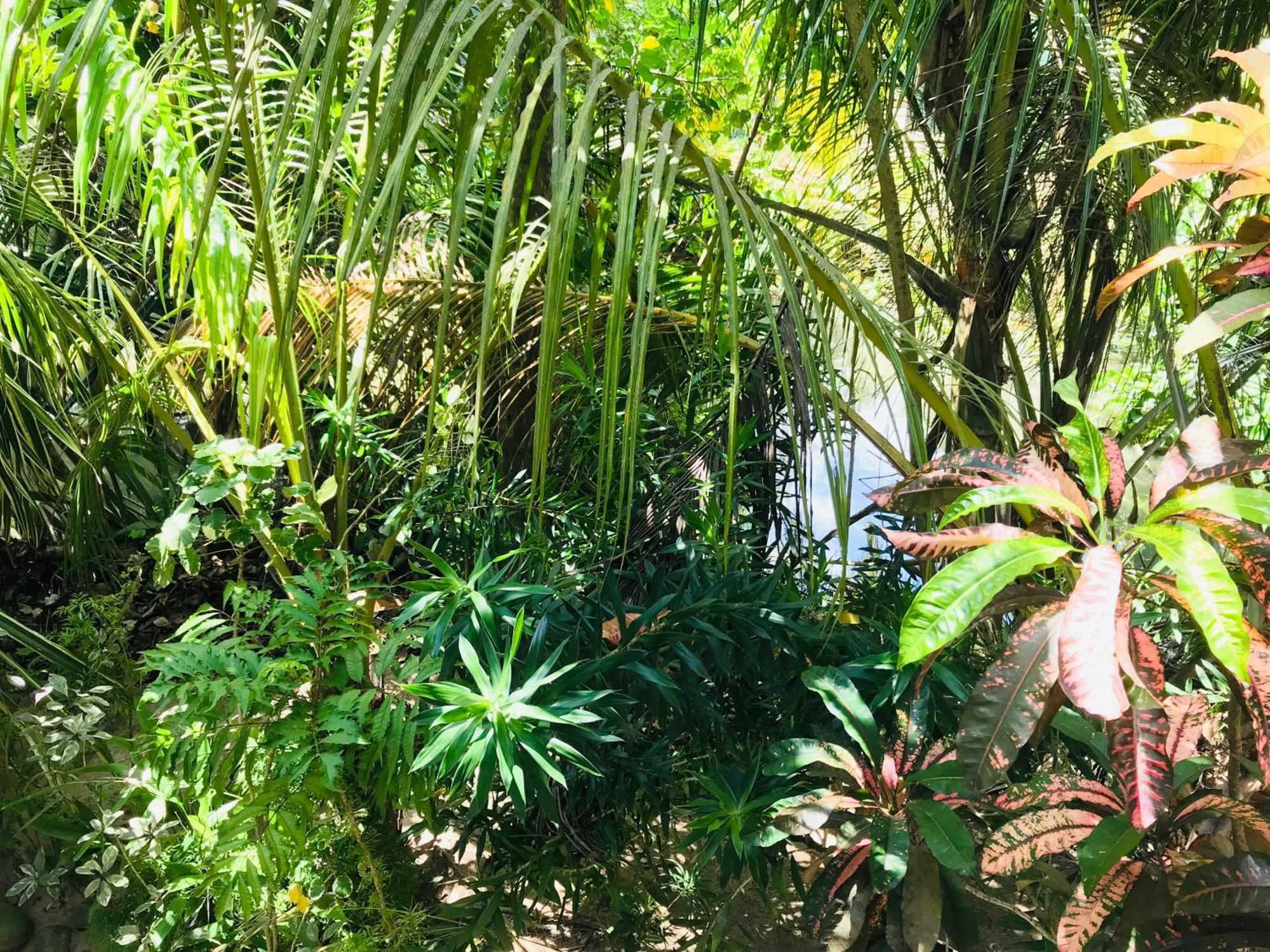 Flora And Fauna Mirissa Εξωτερικό φωτογραφία
