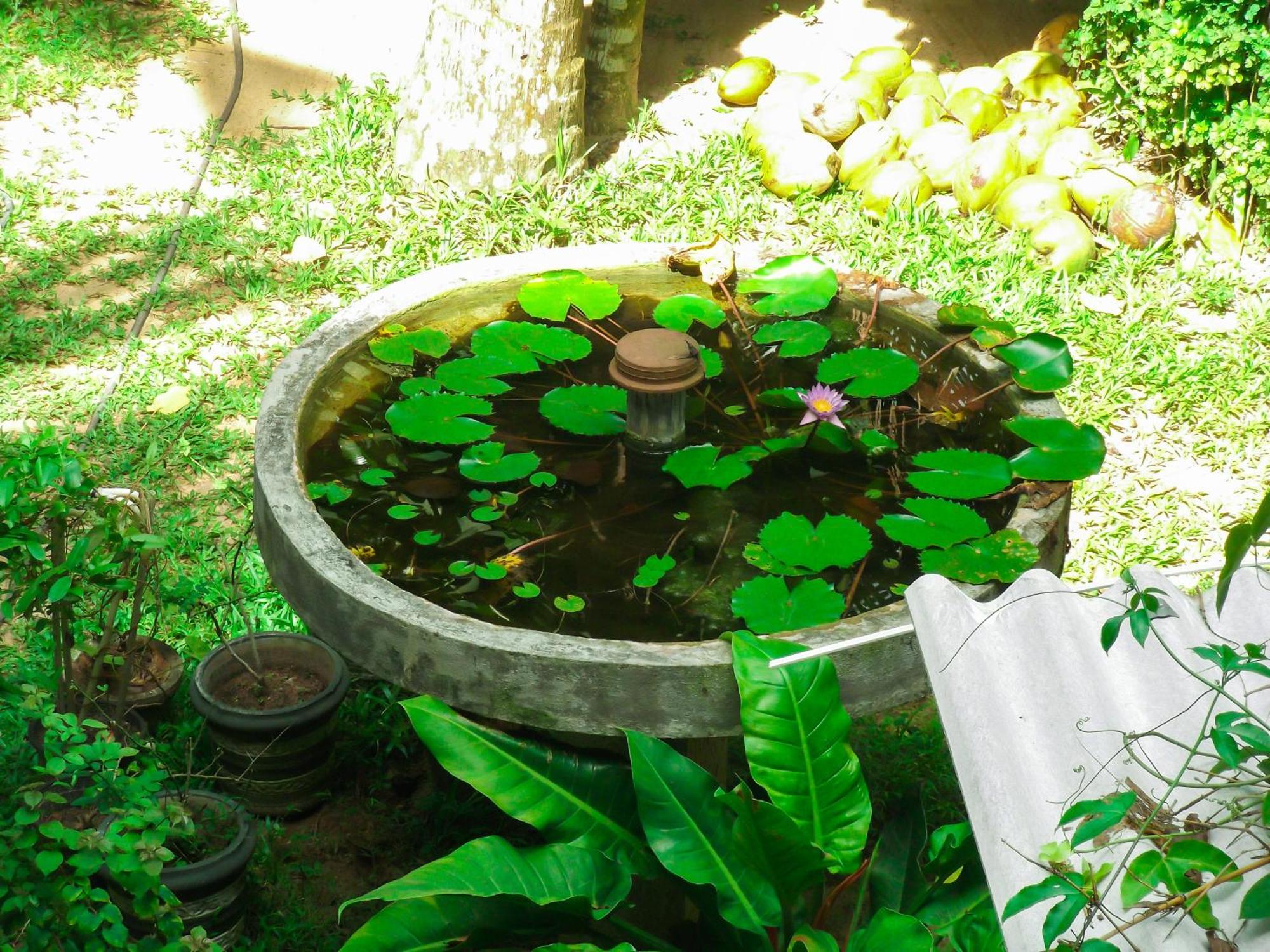 Flora And Fauna Mirissa Εξωτερικό φωτογραφία